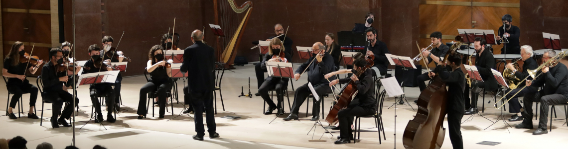 uno scatto dell'orchestra durante un'esibizione